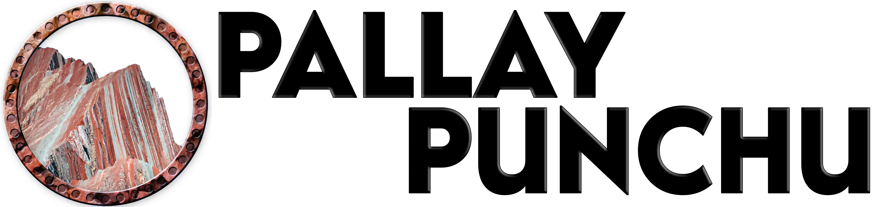 PALLAYPUNCHU.ORG logo